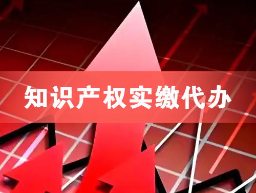 肥城知识产权实缴资本代办